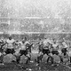 Illustration for article titled New Zealand Rugby Celebrations Are Beastly
